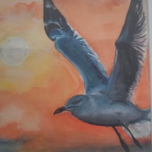 PESCĂRUȘUL, AUTOR JONATHAN LIVINGSTON