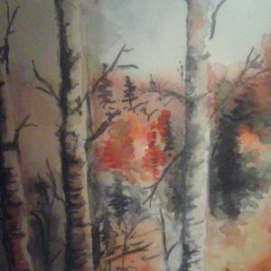 AUTUMN IN THE FOREST
