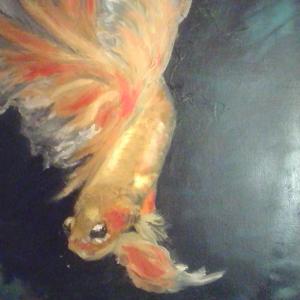 BETA FISH